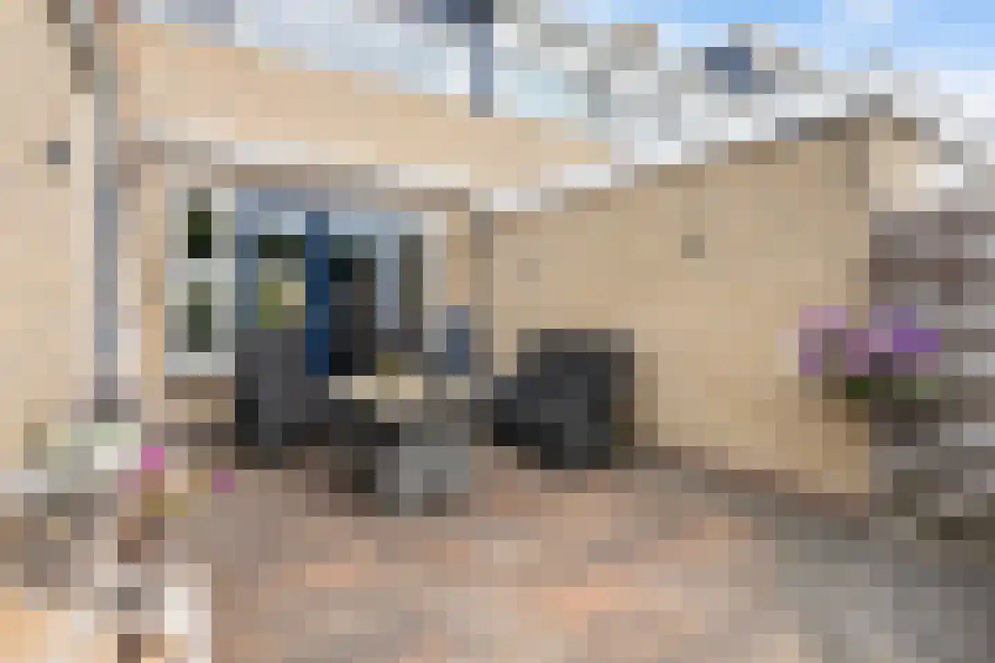 Sikko Sjaerdemalaan 28 IJlst thumbnail 41