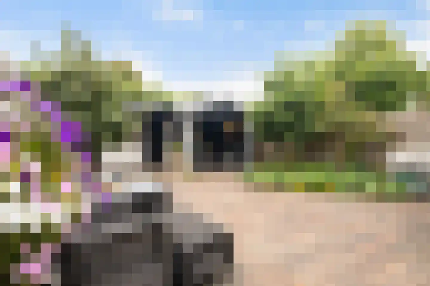 Sikko Sjaerdemalaan 28 IJlst thumbnail 43