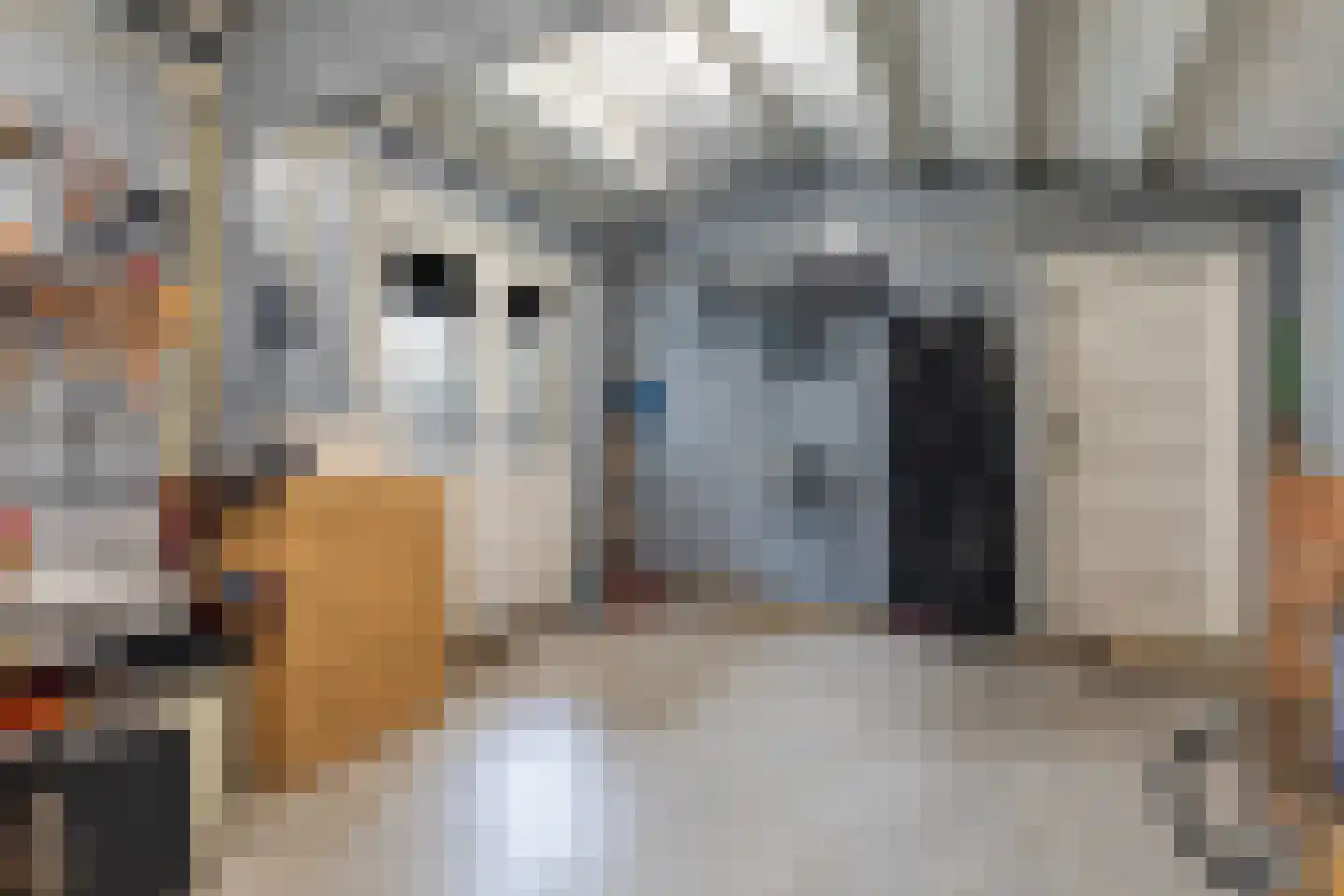 Sikko Sjaerdemalaan 28 IJlst thumbnail 48