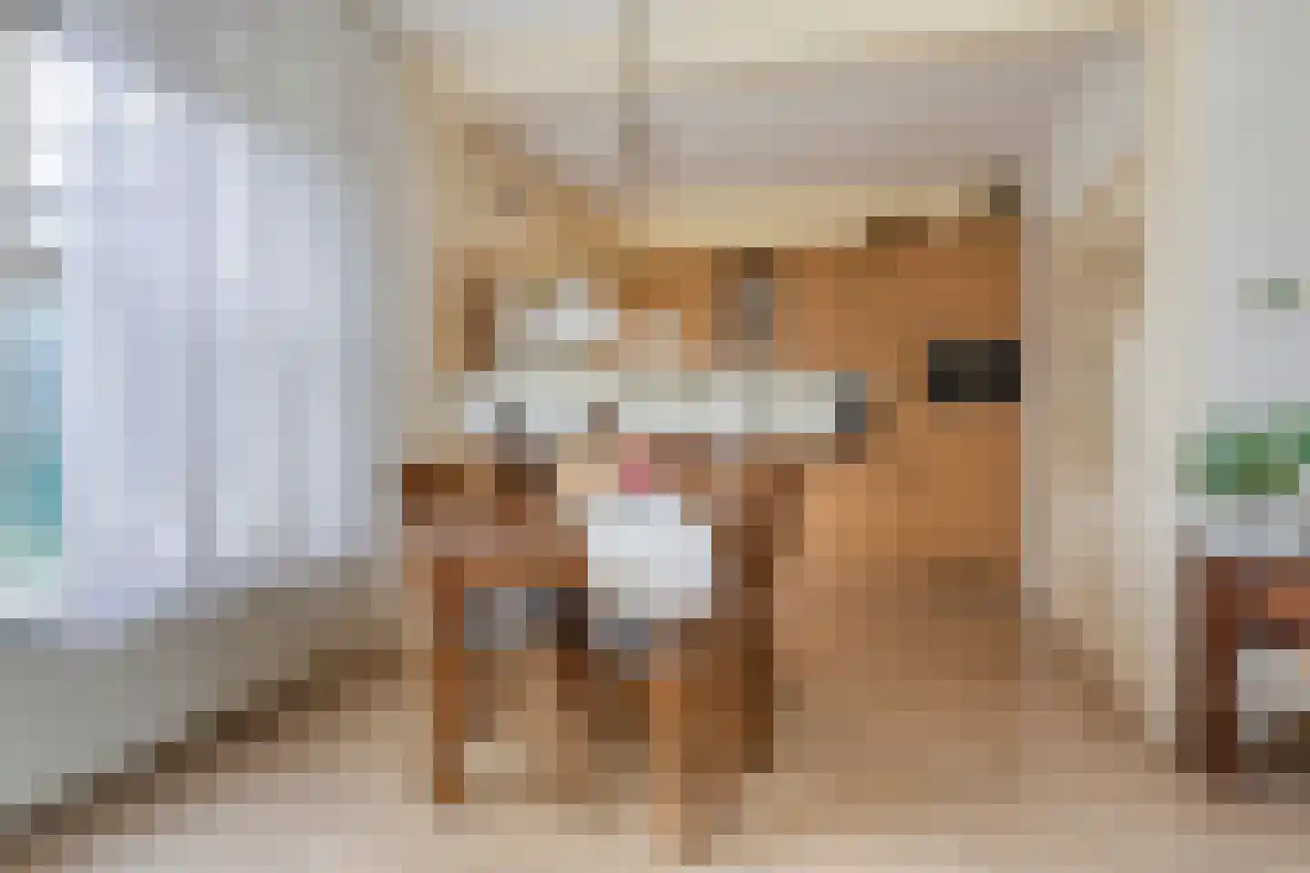 Sikko Sjaerdemalaan 36 IJlst thumbnail 14