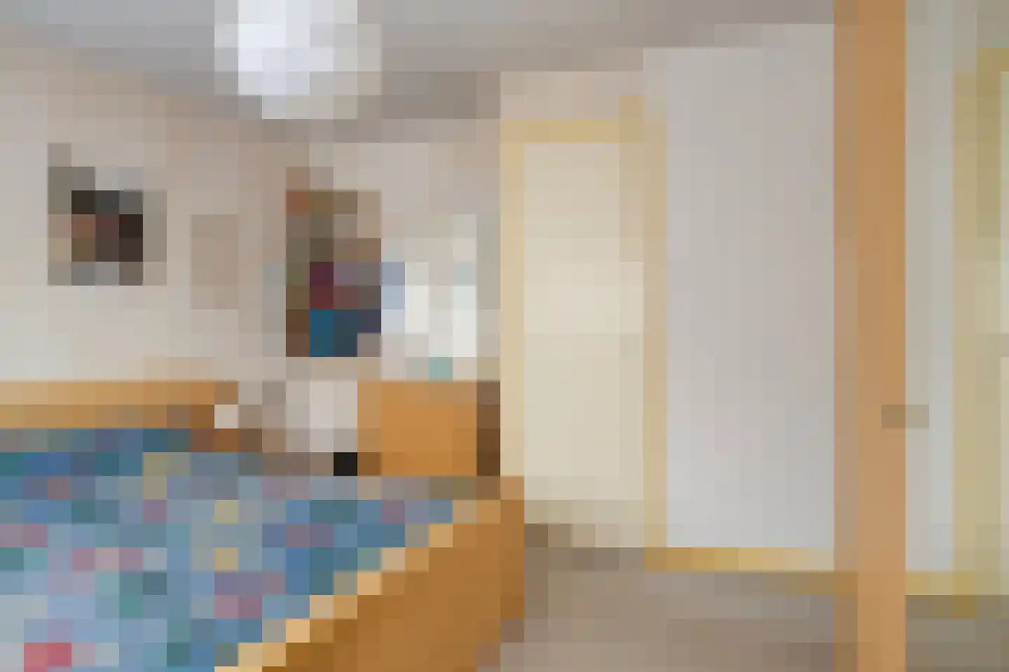 Sikko Sjaerdemalaan 36 IJlst thumbnail 17