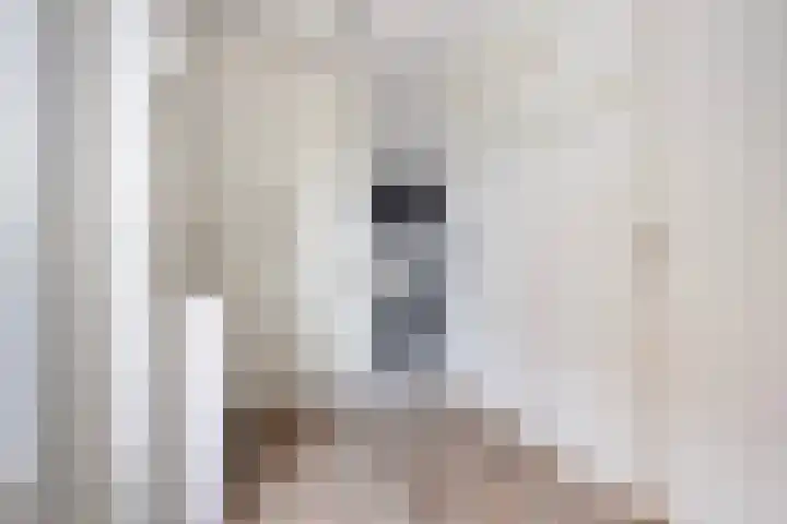 Siktaris Brouwerstraat 1 B St.-Annaparochie thumbnail 24
