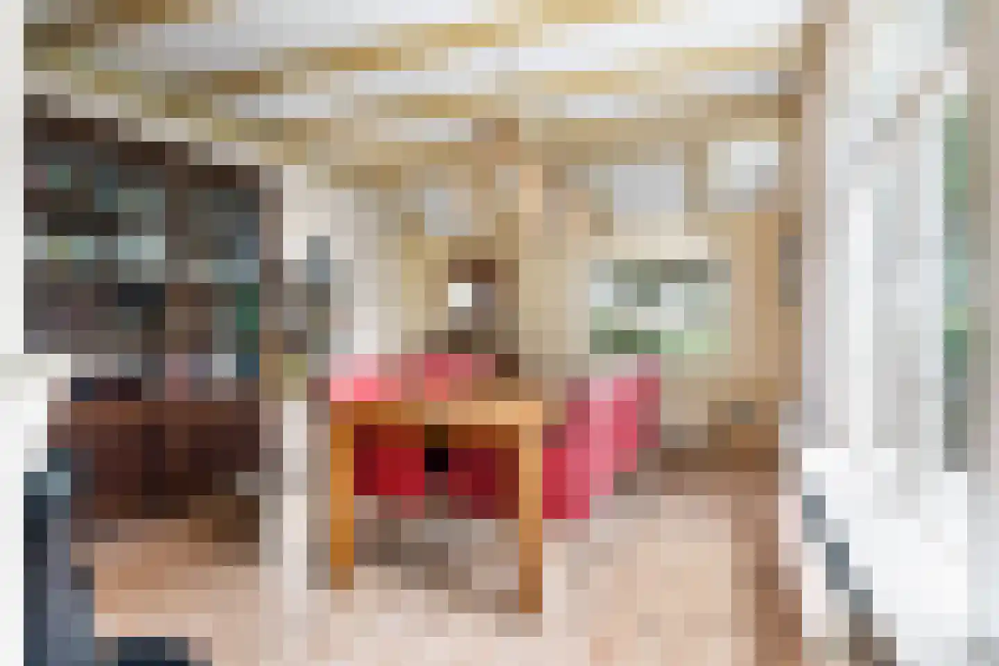 Siktaris Eringawyk 1 Drachtstercompagnie thumbnail 10