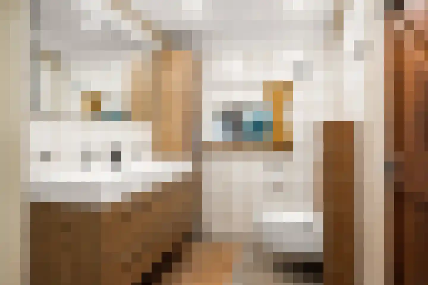 Siktaris Eringawyk 1 Drachtstercompagnie thumbnail 30
