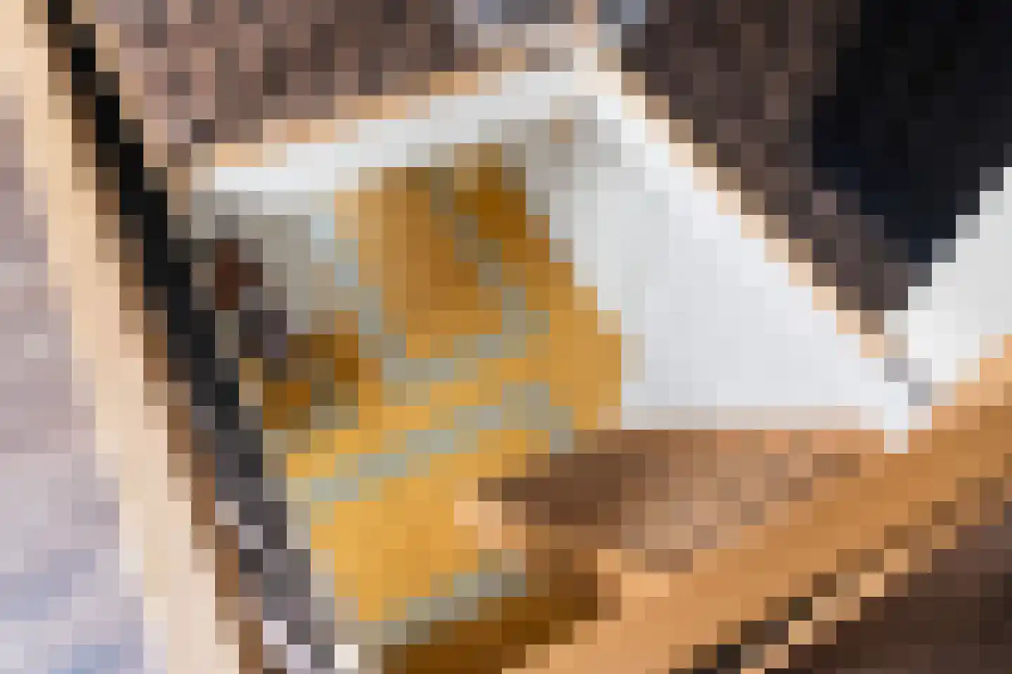Siktaris Eringawyk 1 Drachtstercompagnie thumbnail 38