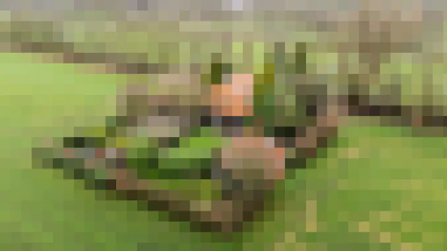 Siktaris Eringawyk 1 Drachtstercompagnie thumbnail 4
