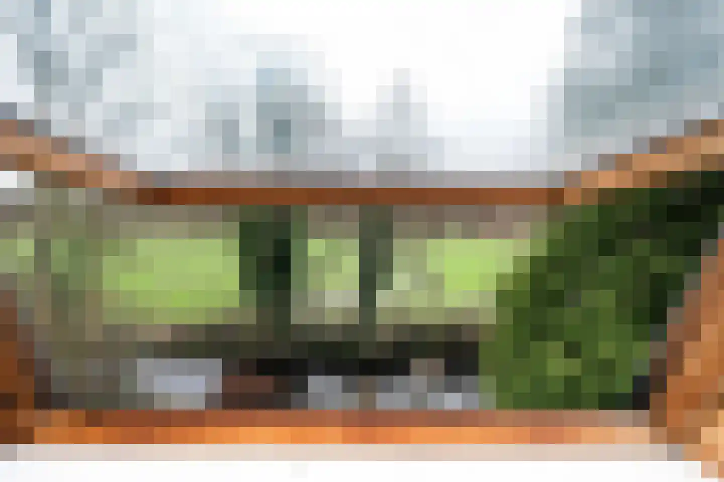 Siktaris Eringawyk 1 Drachtstercompagnie thumbnail 42
