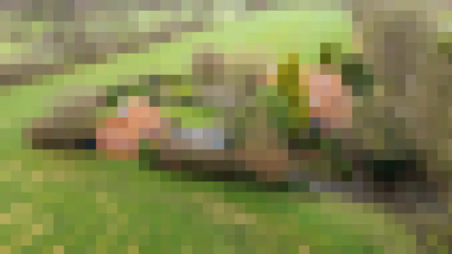 Siktaris Eringawyk 1 Drachtstercompagnie thumbnail 43