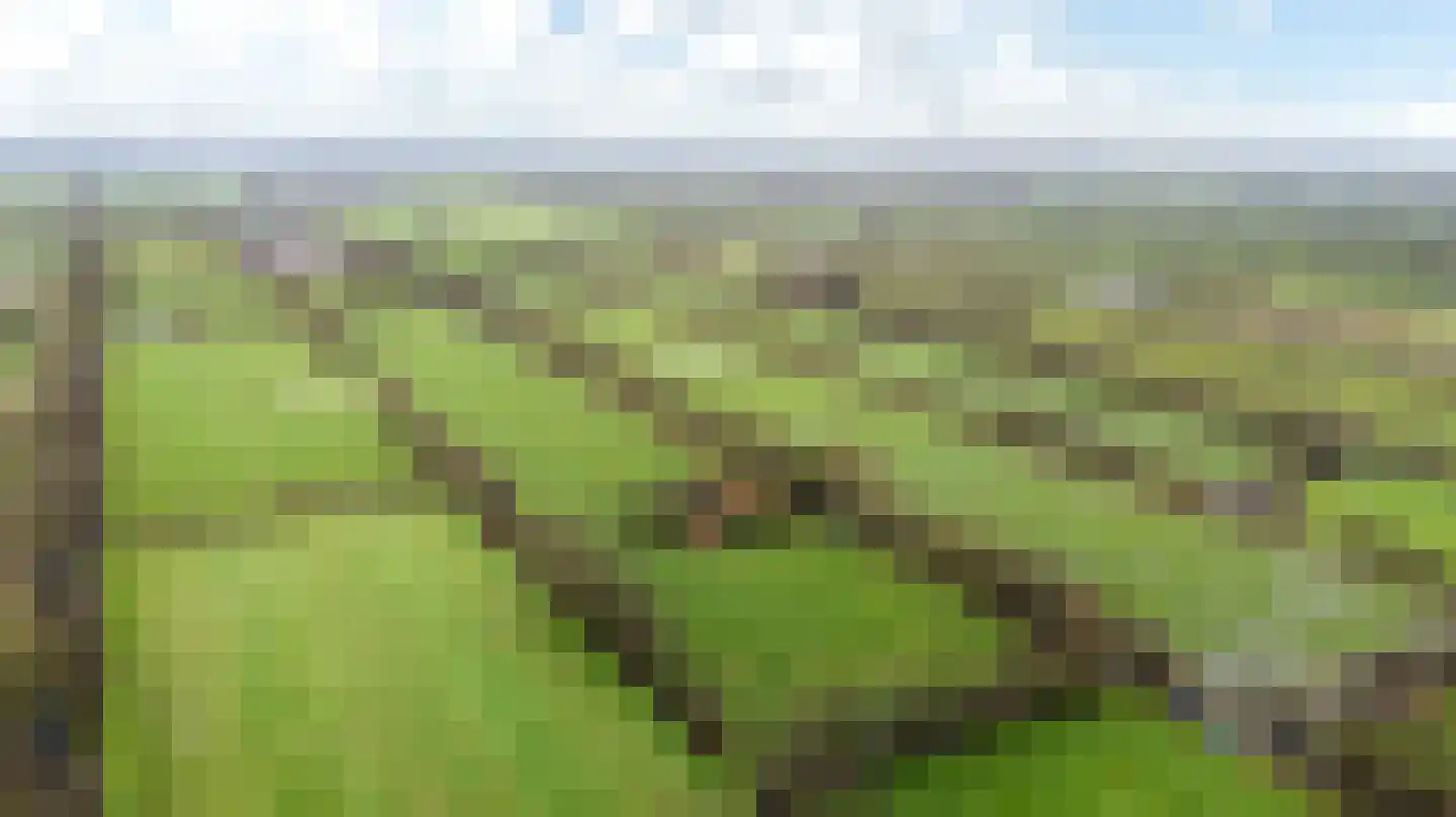 Siktaris Eringawyk 1 Drachtstercompagnie thumbnail 44