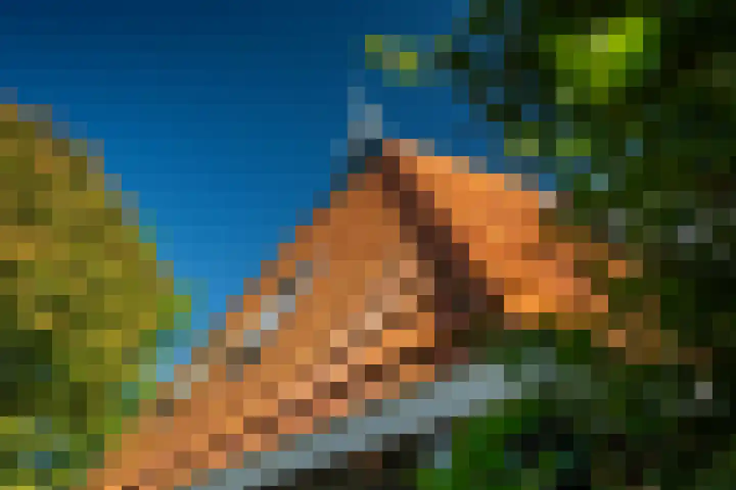 Siktaris Eringawyk 1 Drachtstercompagnie thumbnail 45