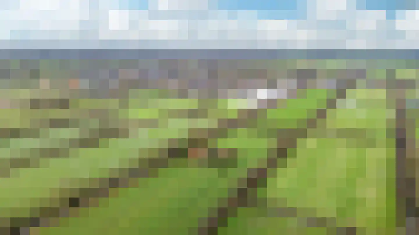 Siktaris Eringawyk 1 Drachtstercompagnie thumbnail 45