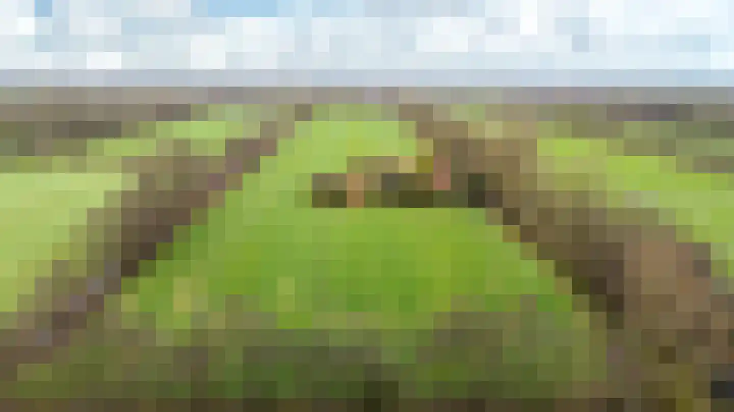 Siktaris Eringawyk 1 Drachtstercompagnie thumbnail 46