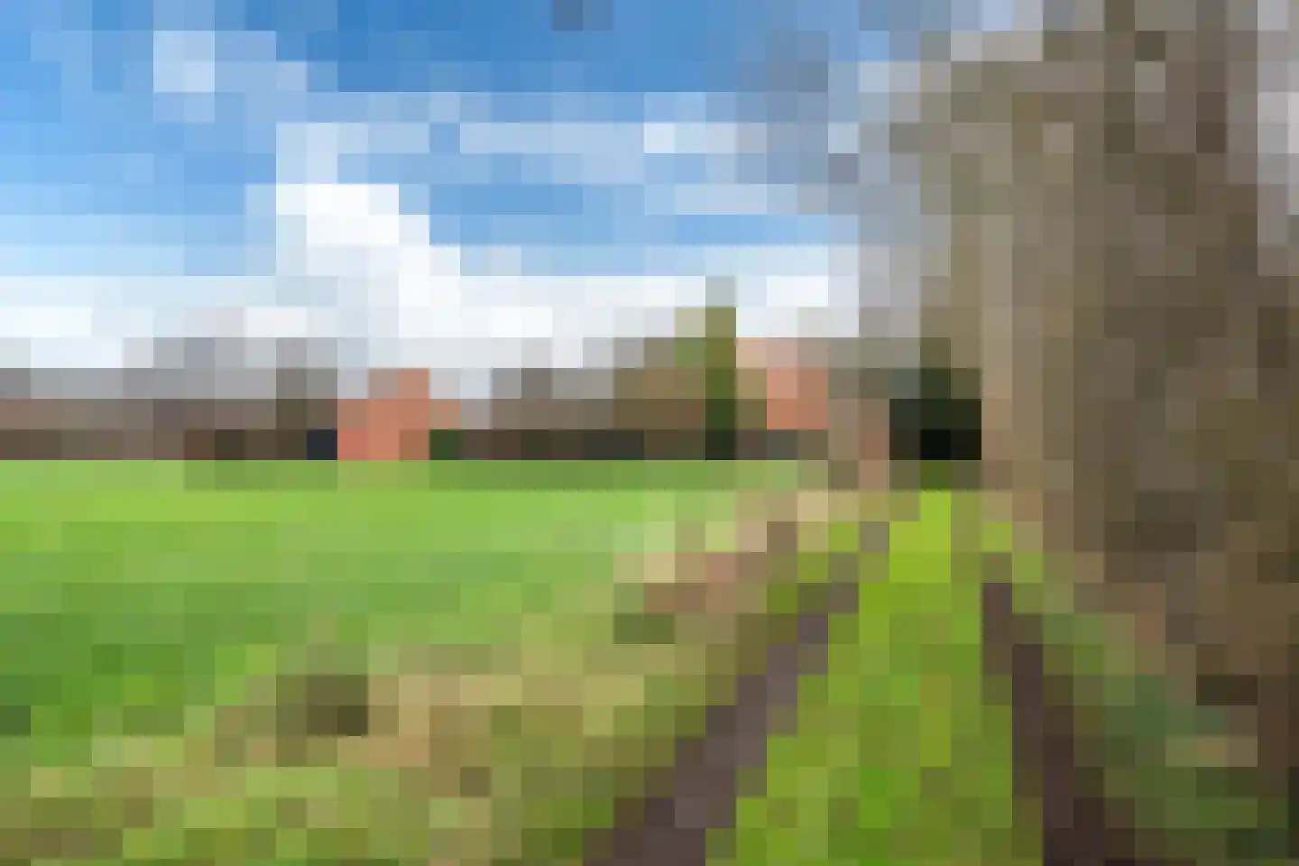 Siktaris Eringawyk 1 Drachtstercompagnie thumbnail 47
