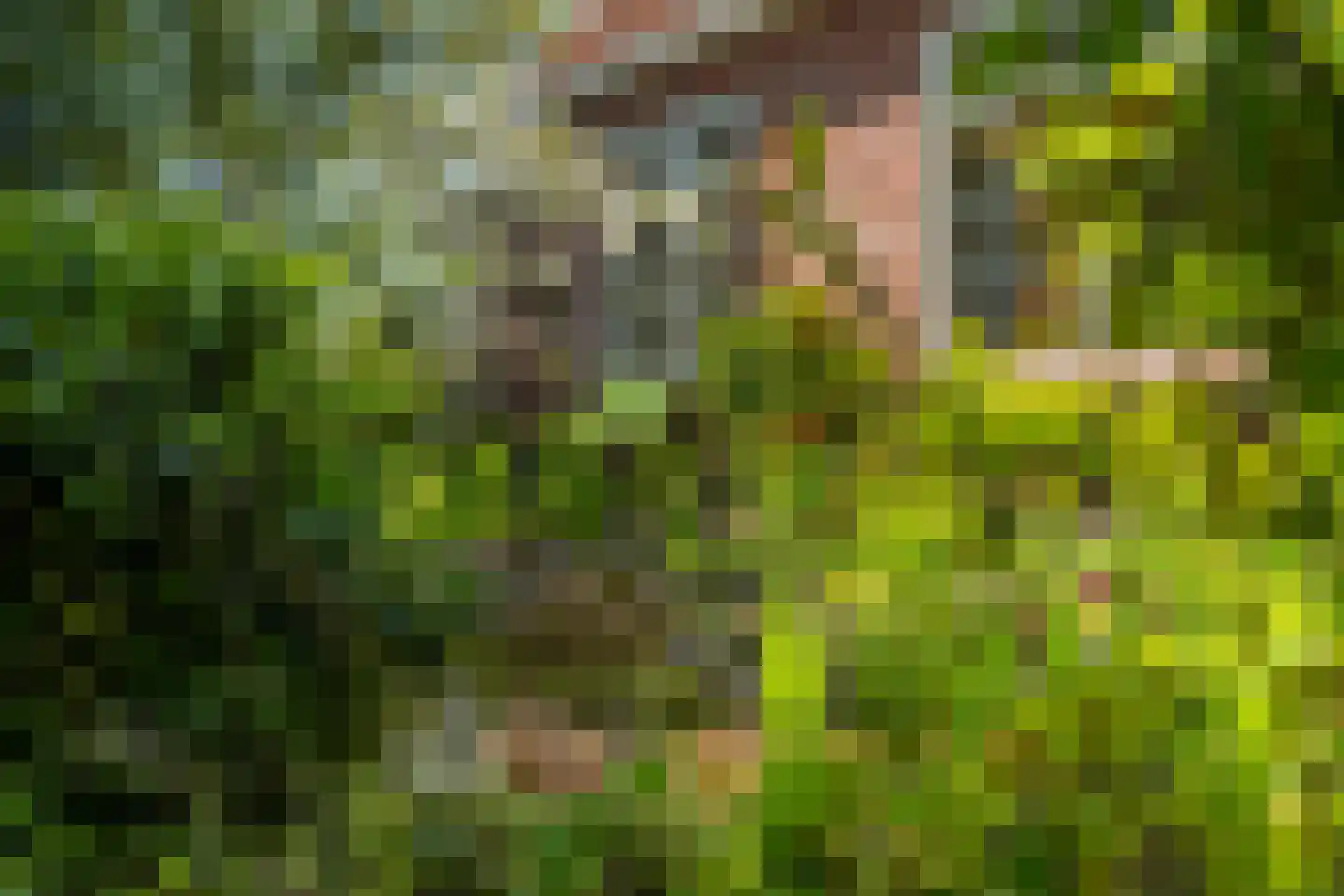 Siktaris Eringawyk 1 Drachtstercompagnie thumbnail 47