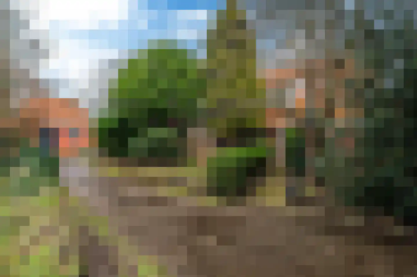 Siktaris Eringawyk 1 Drachtstercompagnie thumbnail 48