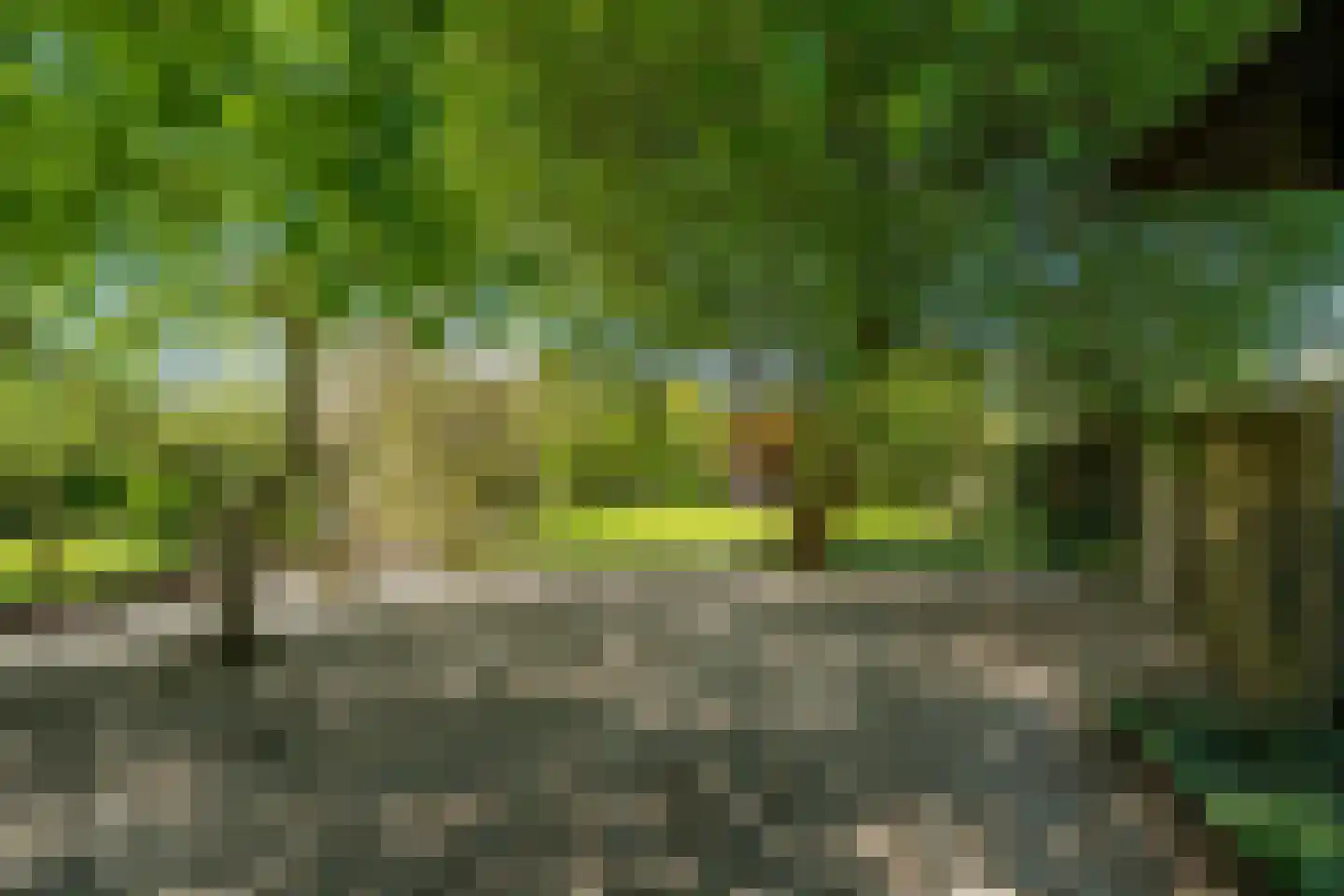 Siktaris Eringawyk 1 Drachtstercompagnie thumbnail 49