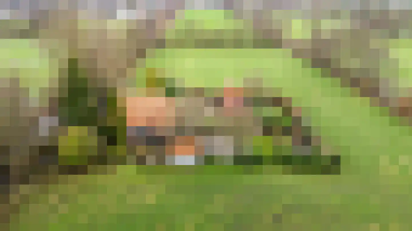 Siktaris Eringawyk 1 Drachtstercompagnie thumbnail 5