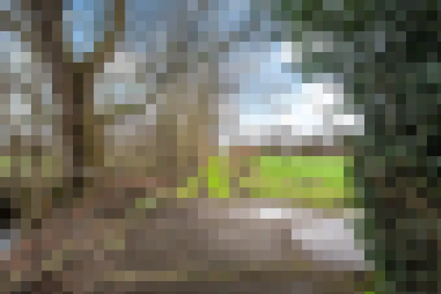 Siktaris Eringawyk 1 Drachtstercompagnie thumbnail 51