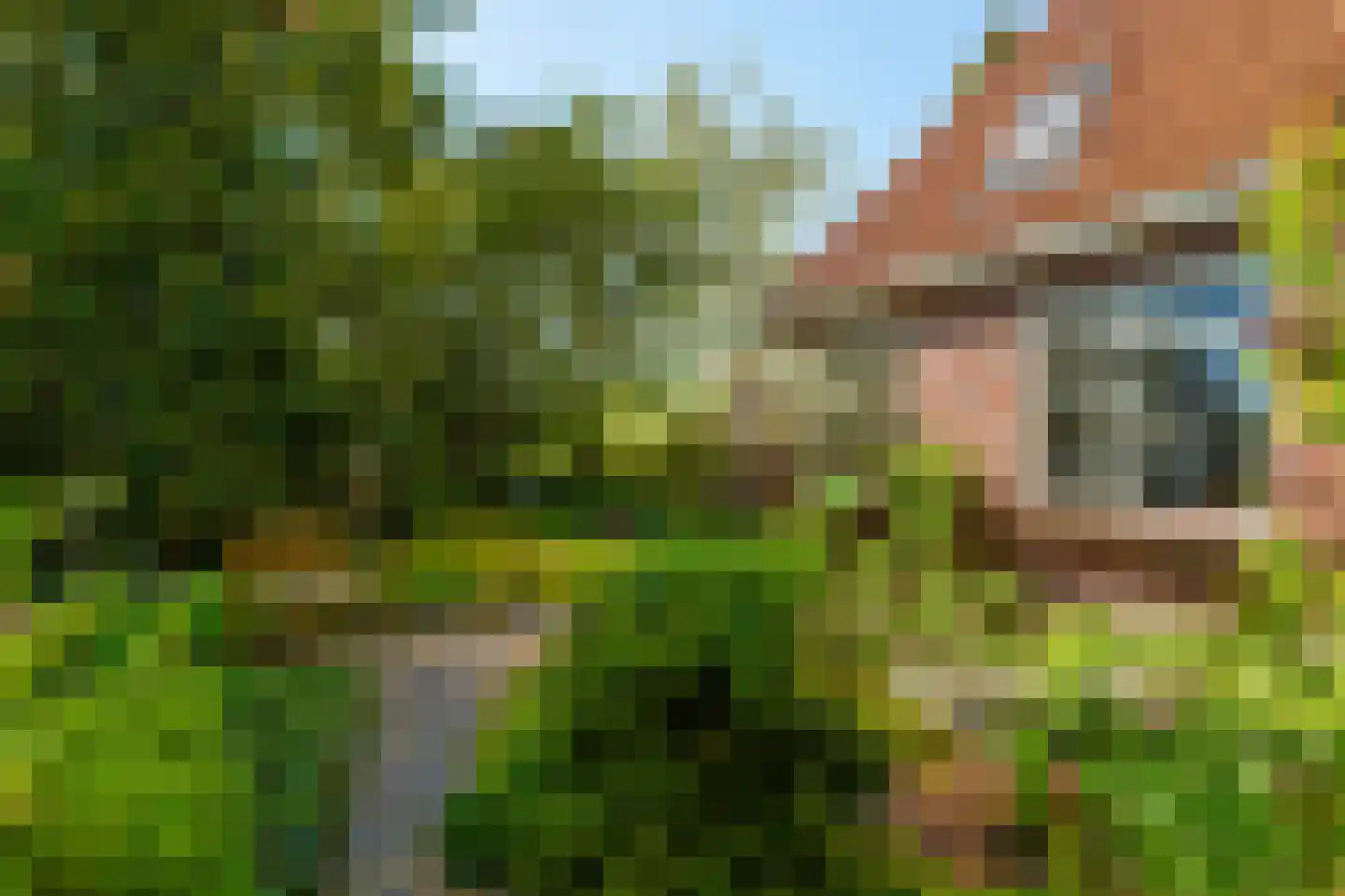 Siktaris Eringawyk 1 Drachtstercompagnie thumbnail 51