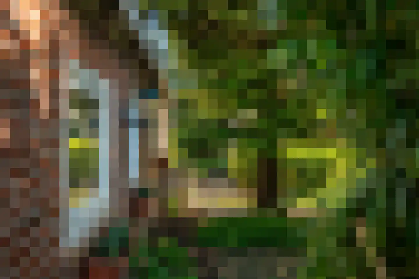 Siktaris Eringawyk 1 Drachtstercompagnie thumbnail 52