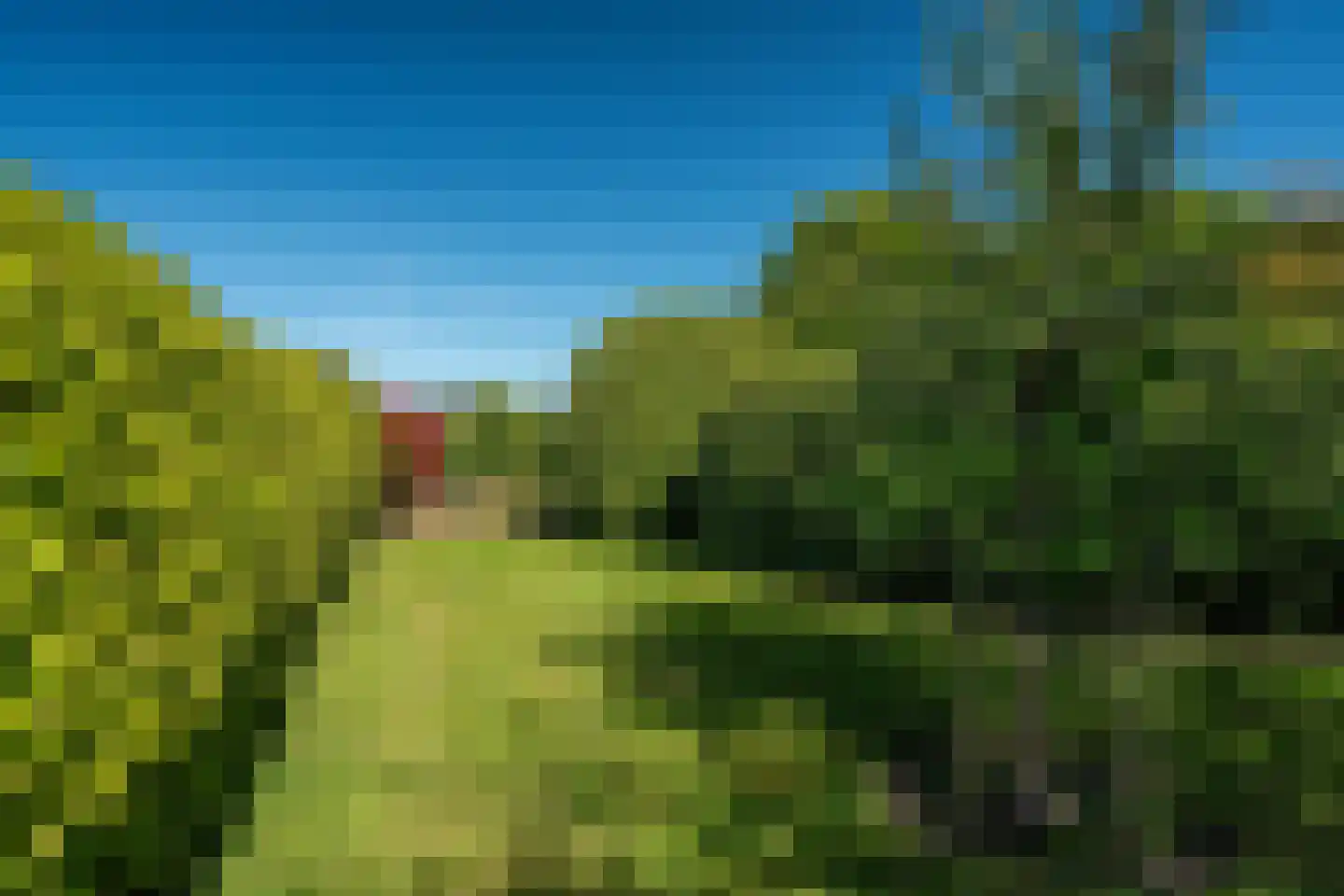 Siktaris Eringawyk 1 Drachtstercompagnie thumbnail 53