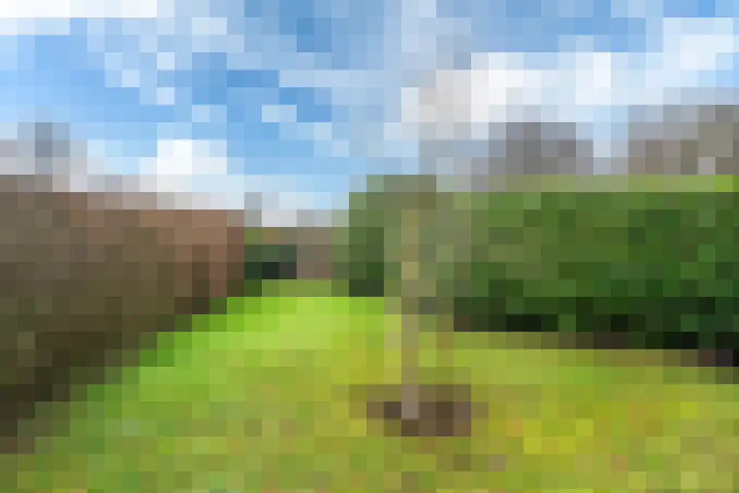 Siktaris Eringawyk 1 Drachtstercompagnie thumbnail 53