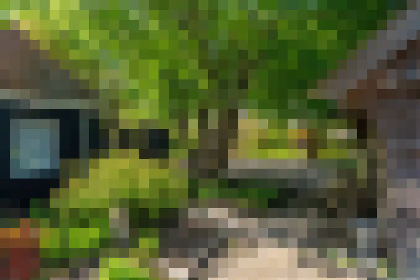 Siktaris Eringawyk 1 Drachtstercompagnie thumbnail 55