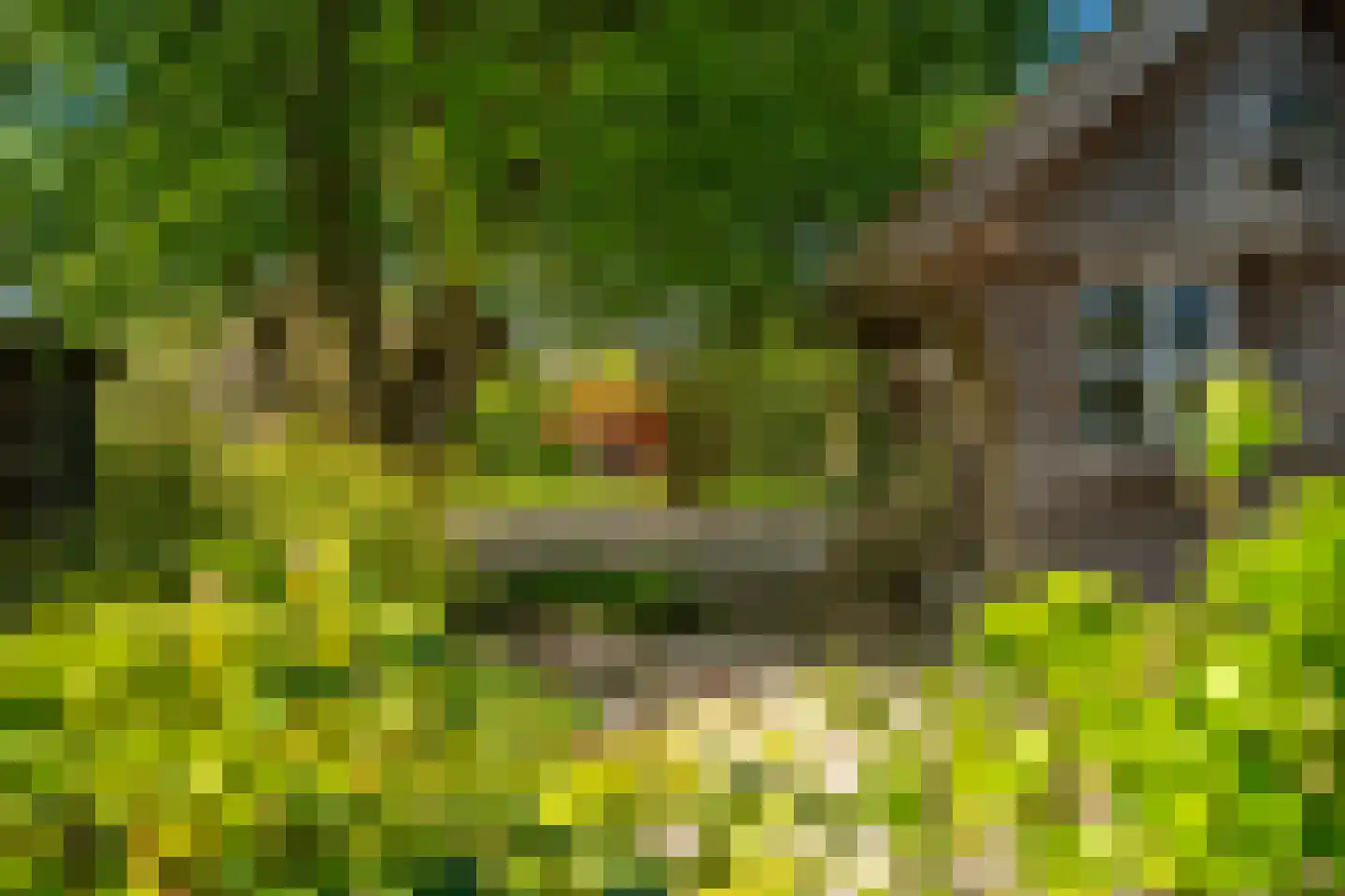 Siktaris Eringawyk 1 Drachtstercompagnie thumbnail 56
