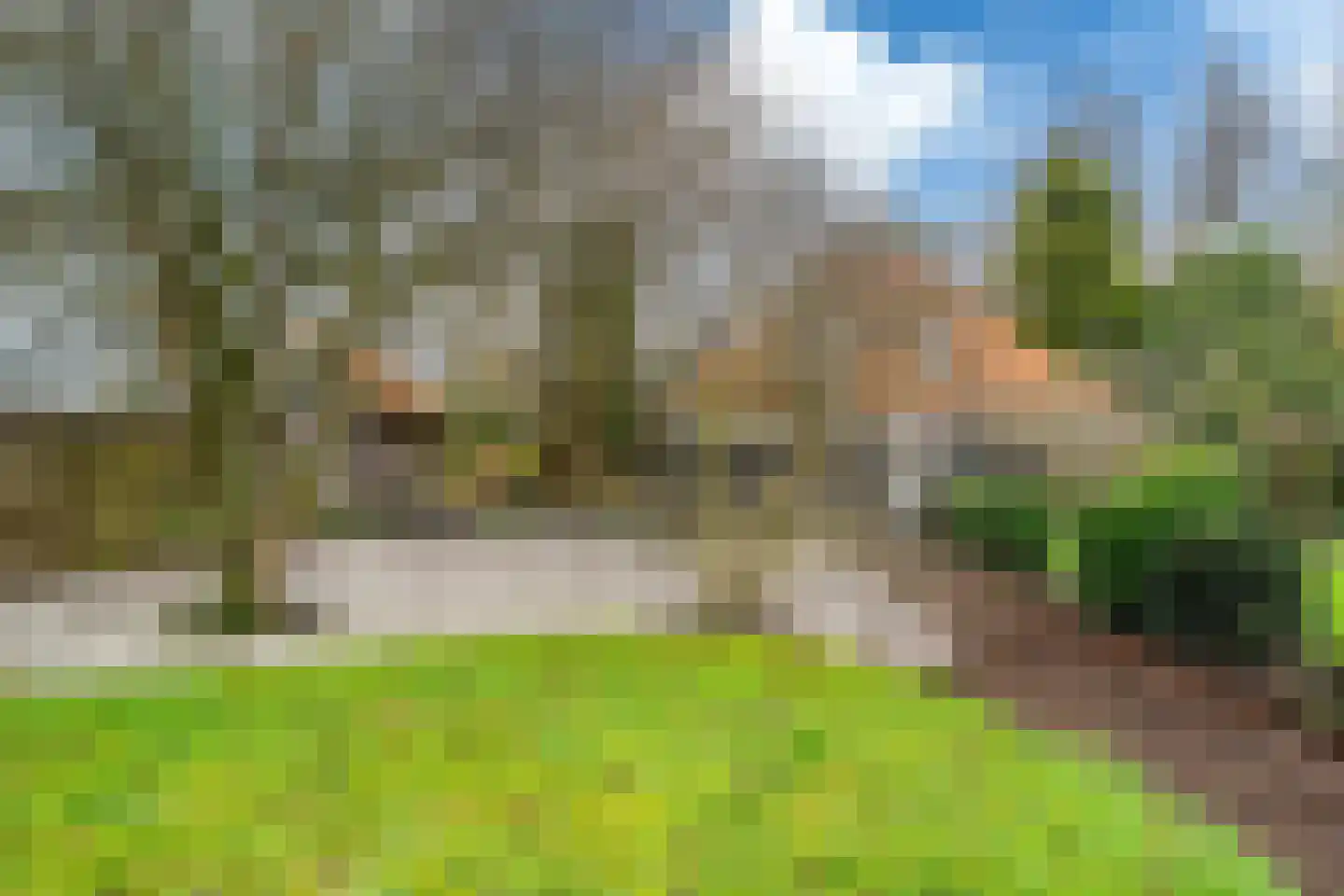 Siktaris Eringawyk 1 Drachtstercompagnie thumbnail 56