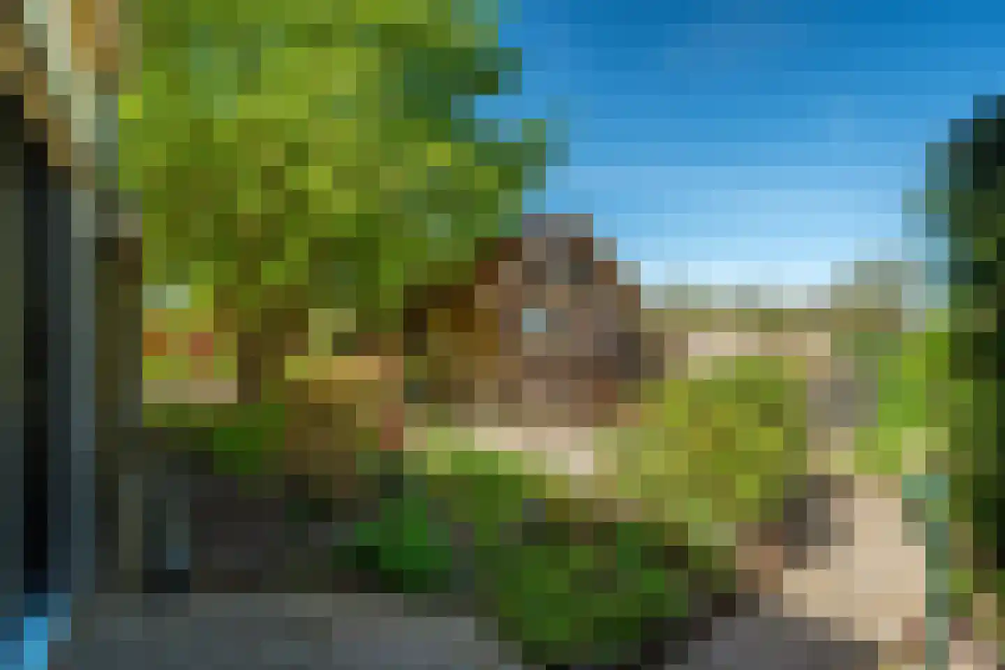 Siktaris Eringawyk 1 Drachtstercompagnie thumbnail 57