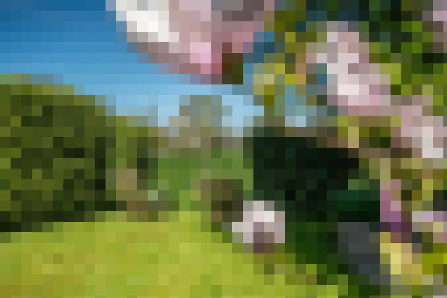 Siktaris Eringawyk 1 Drachtstercompagnie thumbnail 58