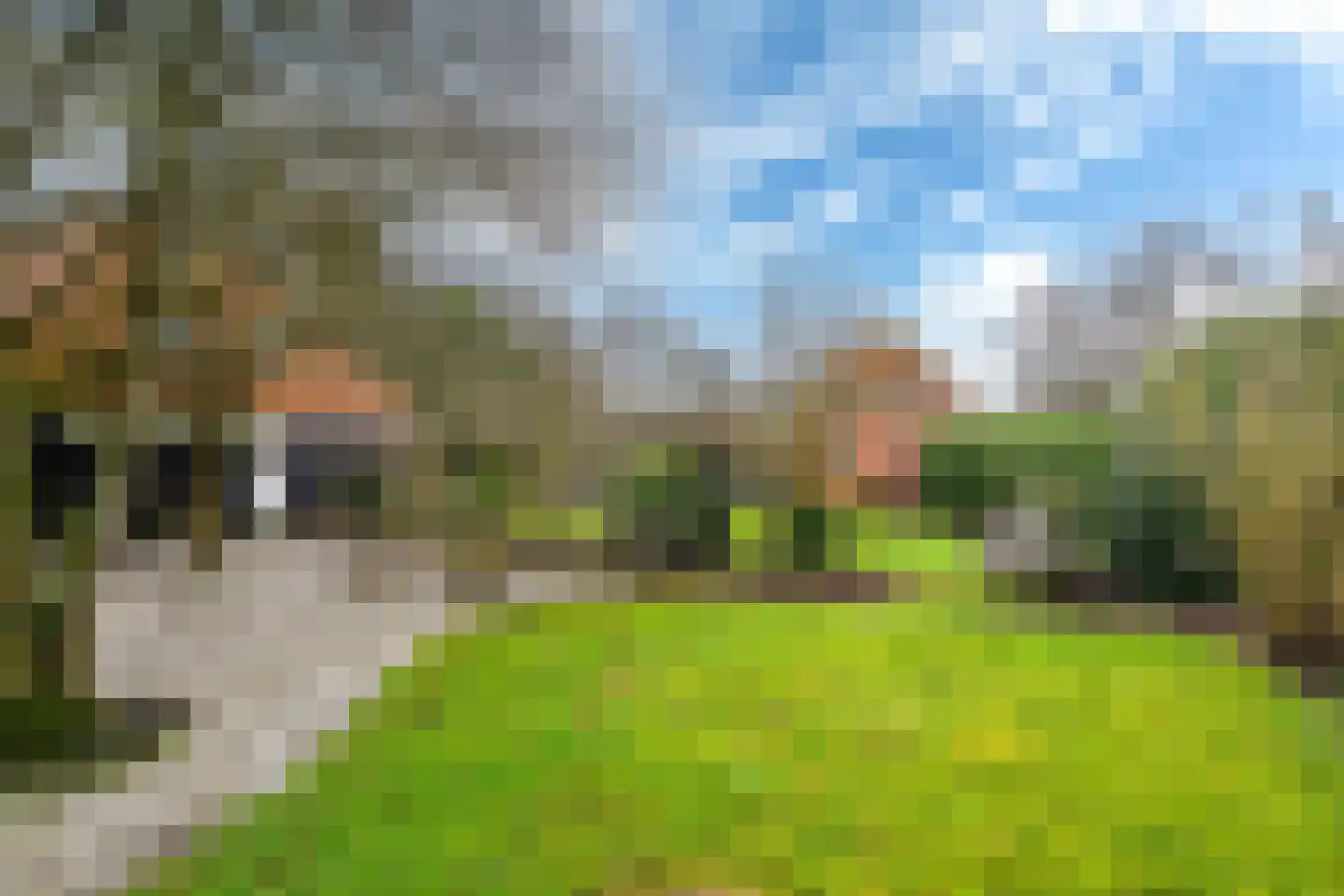 Siktaris Eringawyk 1 Drachtstercompagnie thumbnail 58