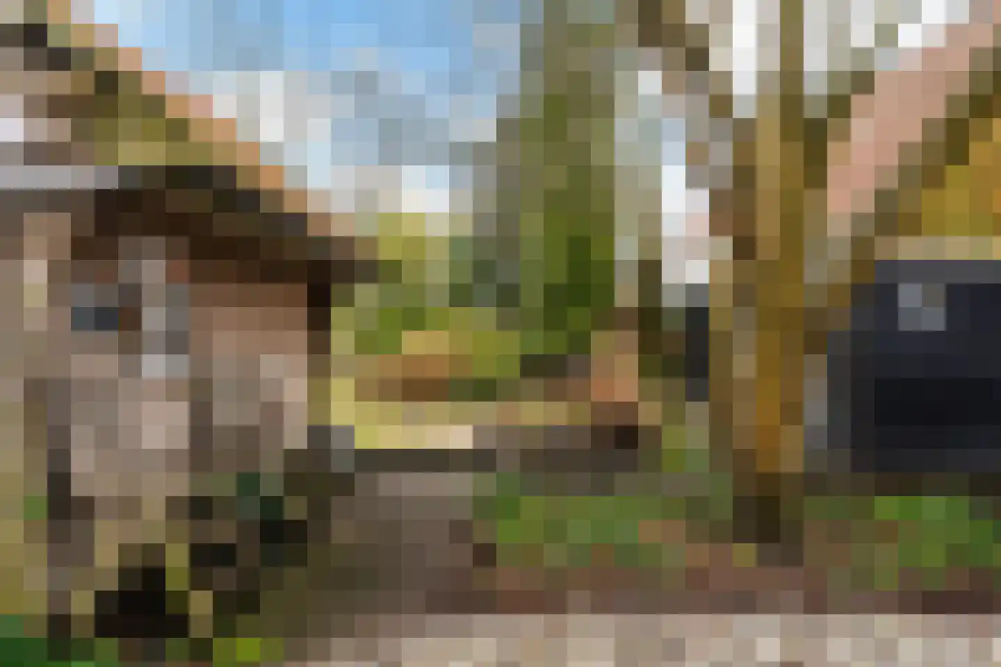 Siktaris Eringawyk 1 Drachtstercompagnie thumbnail 59