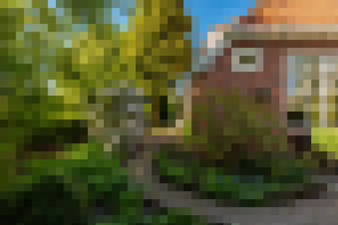 Siktaris Eringawyk 1 Drachtstercompagnie thumbnail 6