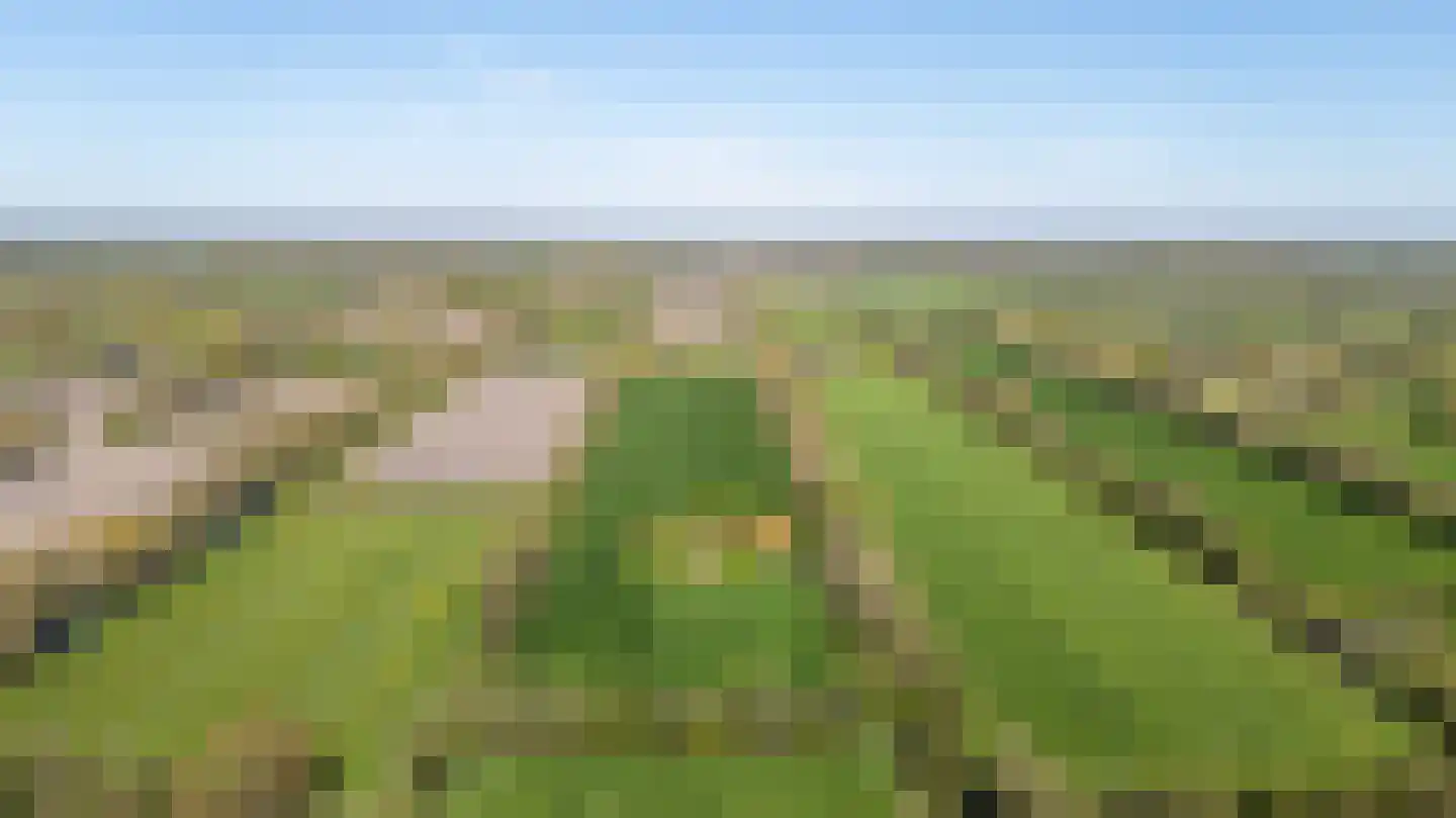Siktaris Eringawyk 1 Drachtstercompagnie thumbnail 60