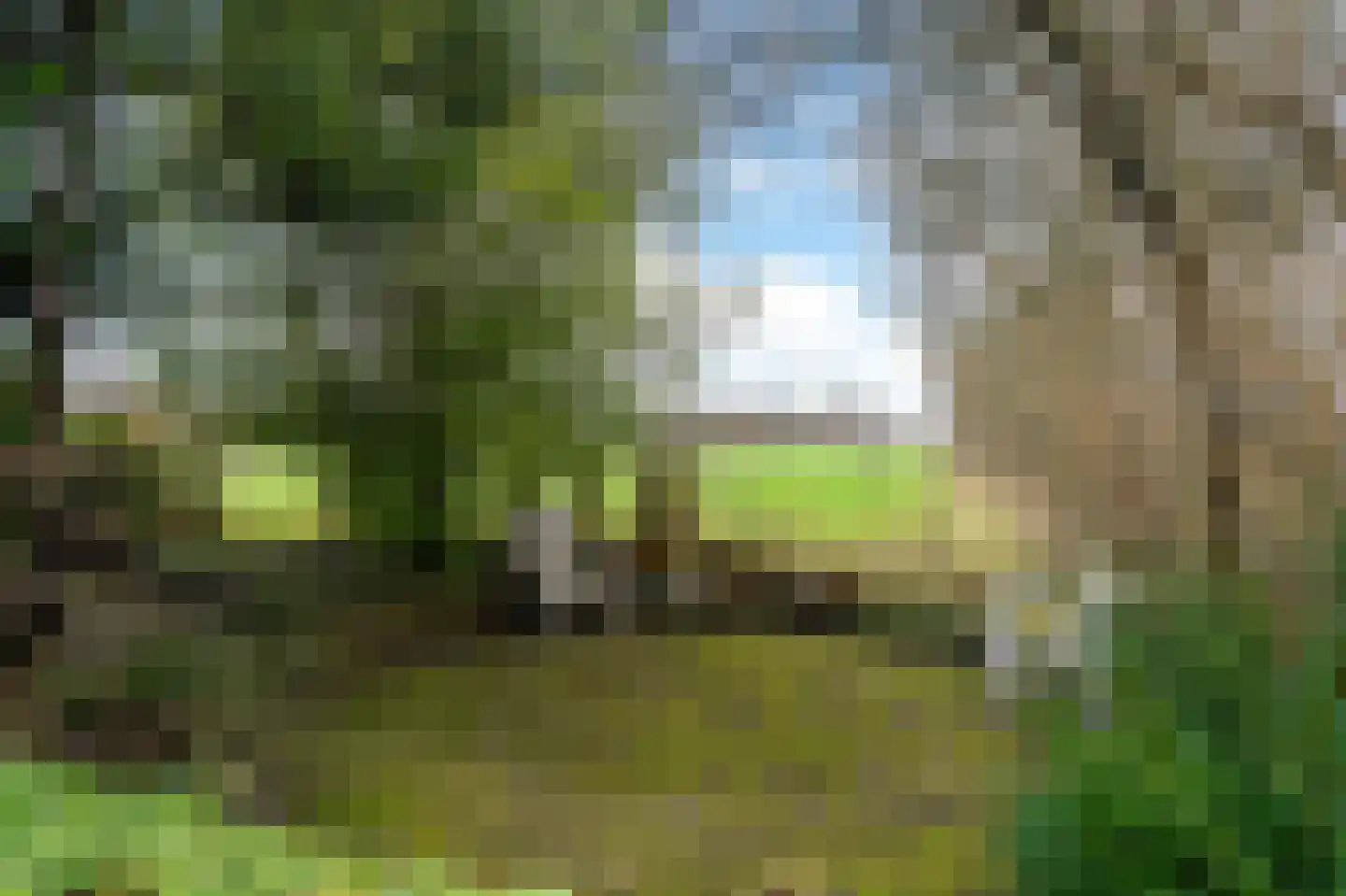 Siktaris Eringawyk 1 Drachtstercompagnie thumbnail 63