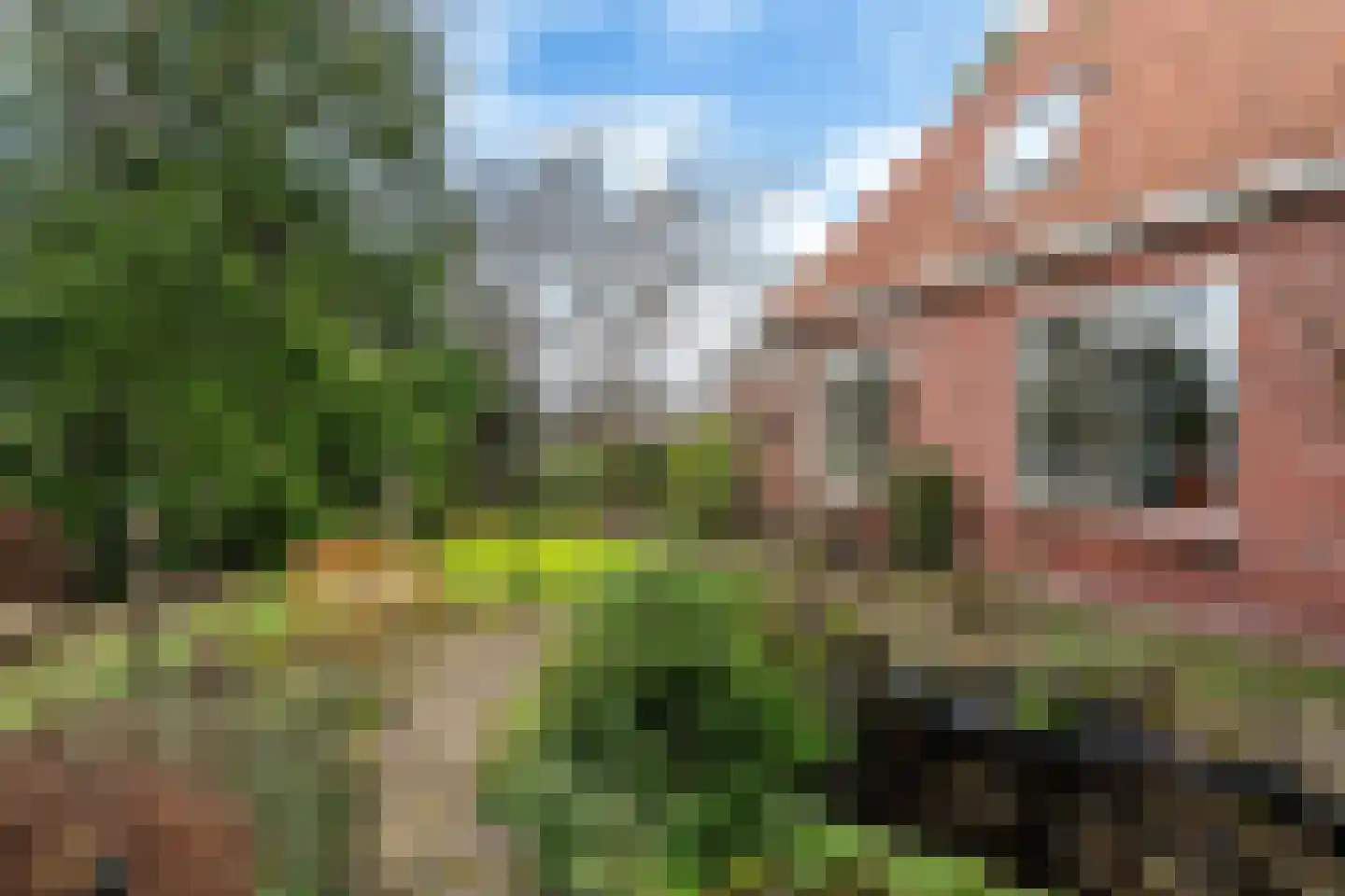 Siktaris Eringawyk 1 Drachtstercompagnie thumbnail 64