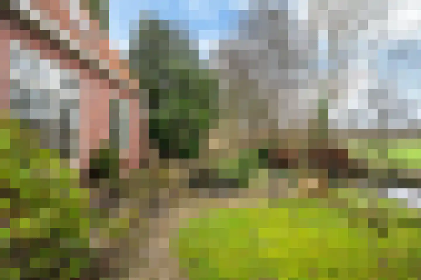 Siktaris Eringawyk 1 Drachtstercompagnie thumbnail 65