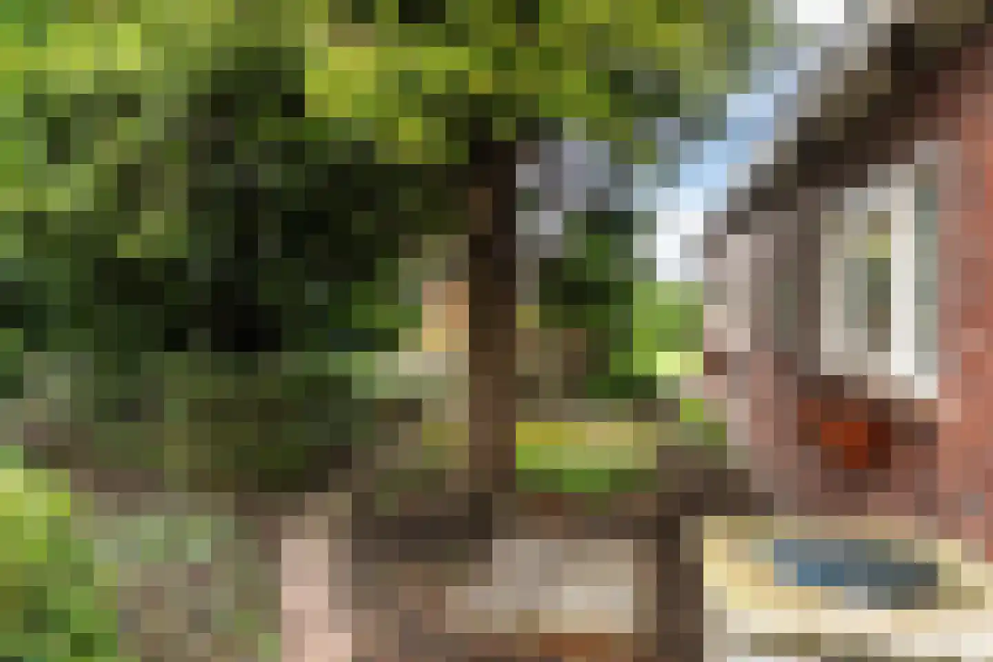 Siktaris Eringawyk 1 Drachtstercompagnie thumbnail 66
