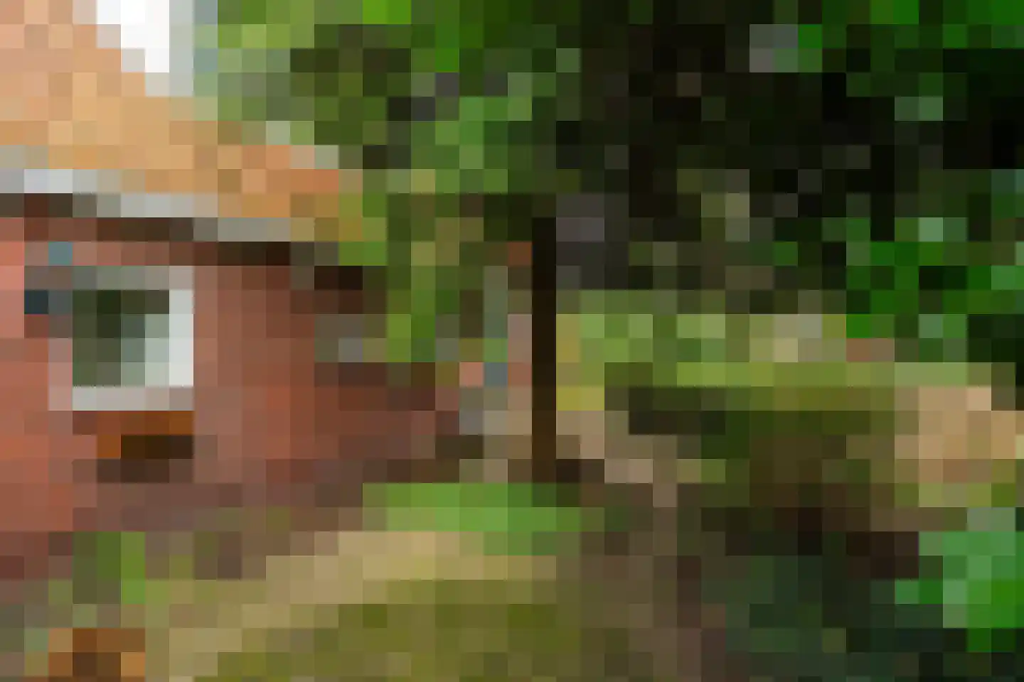 Siktaris Eringawyk 1 Drachtstercompagnie thumbnail 67