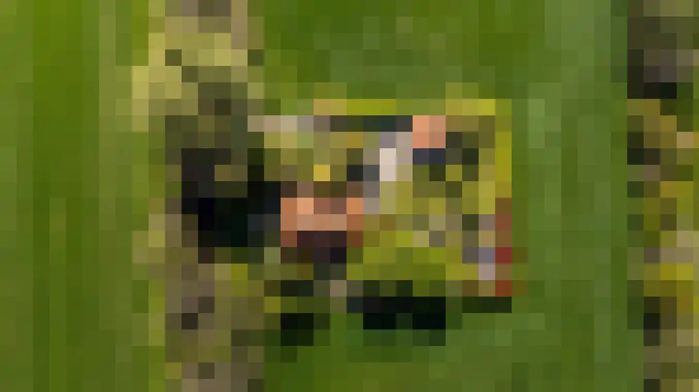Siktaris Eringawyk 1 Drachtstercompagnie thumbnail 7
