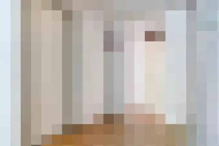 Silcherstraat 34 Tilburg thumbnail 31