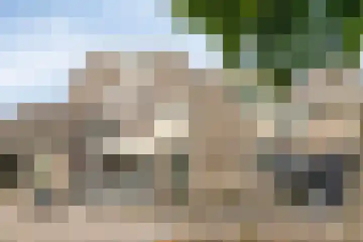 Silene 29 Kampen thumbnail 14