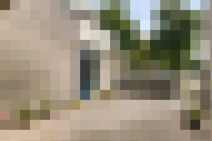 Silene 29 Kampen thumbnail 17