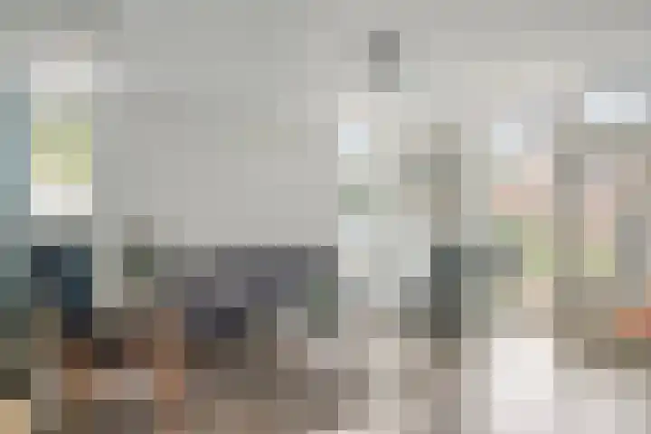 Silene 29 Kampen thumbnail 4