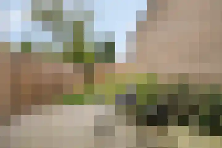 Silene 29 Kampen thumbnail 47
