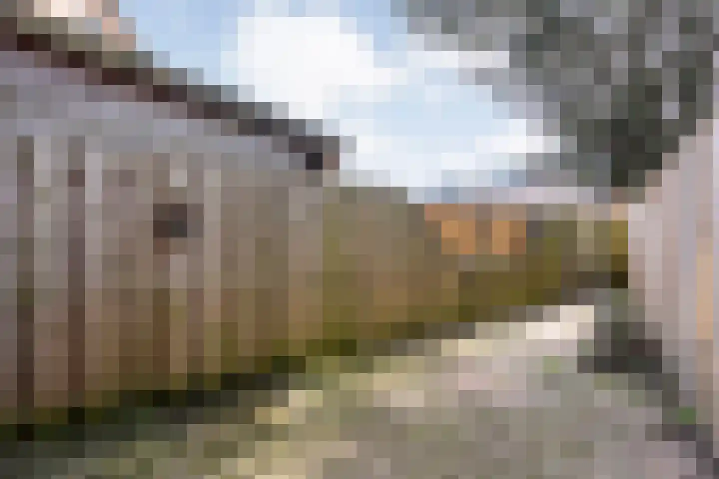 Silene 46 Kampen thumbnail 31