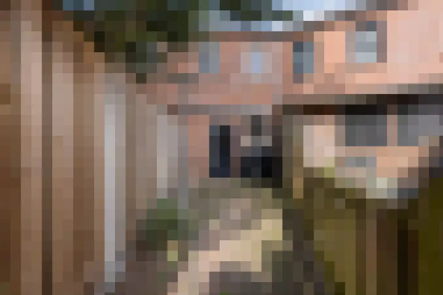 Silene 46 Kampen thumbnail 32