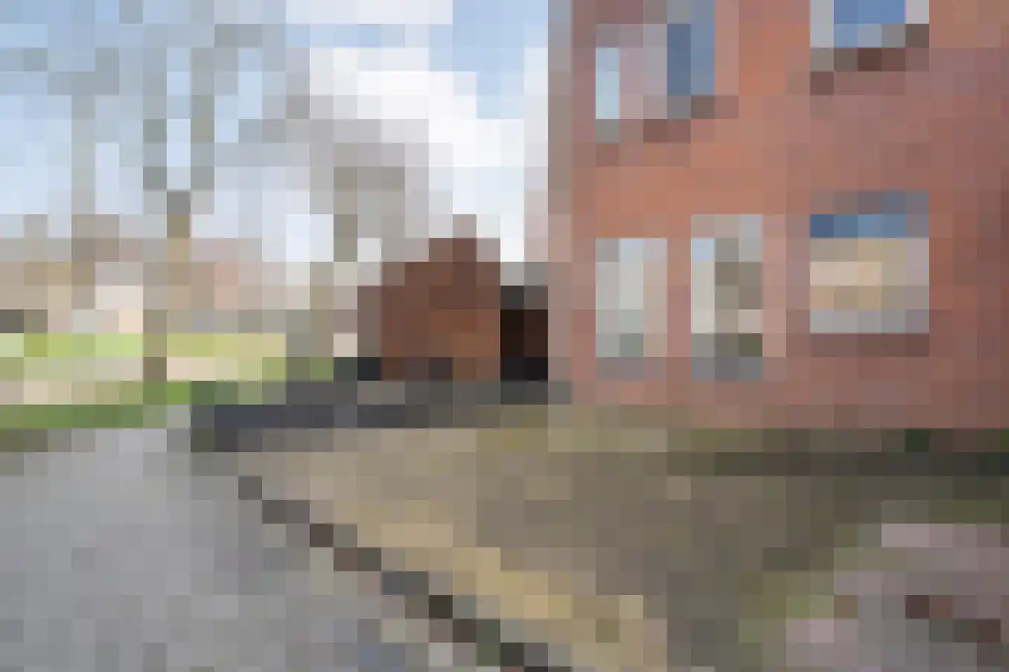 Silene 46 Kampen thumbnail 37