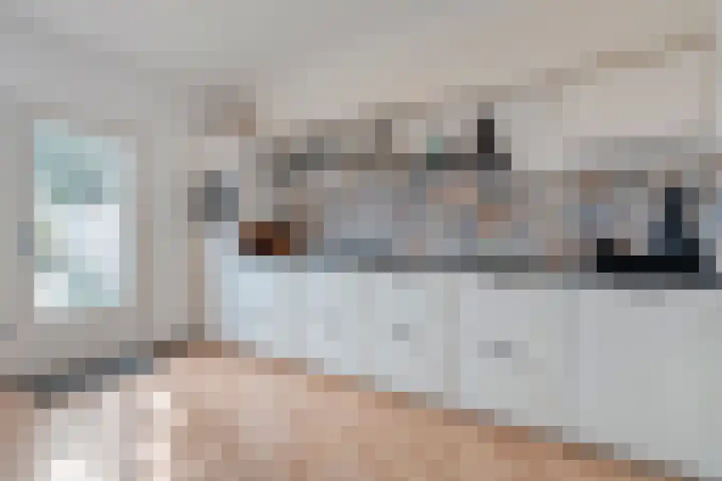 Silene 46 Kampen thumbnail 6